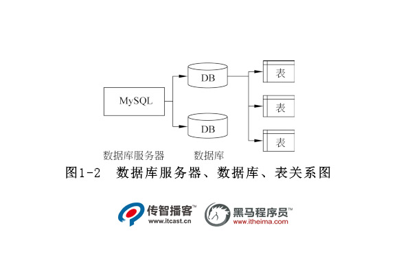 數(shù)據(jù)庫結構