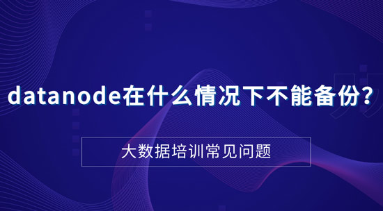 DataNode在什么情況下不會備份